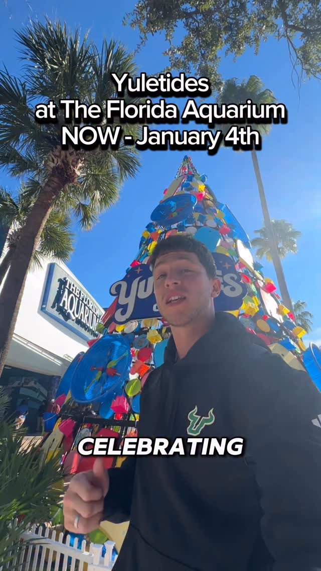 Instagram post by @christianhelms_ for Geico. Caption reads: Yuletides by Geico at the @floridaaquarium is....