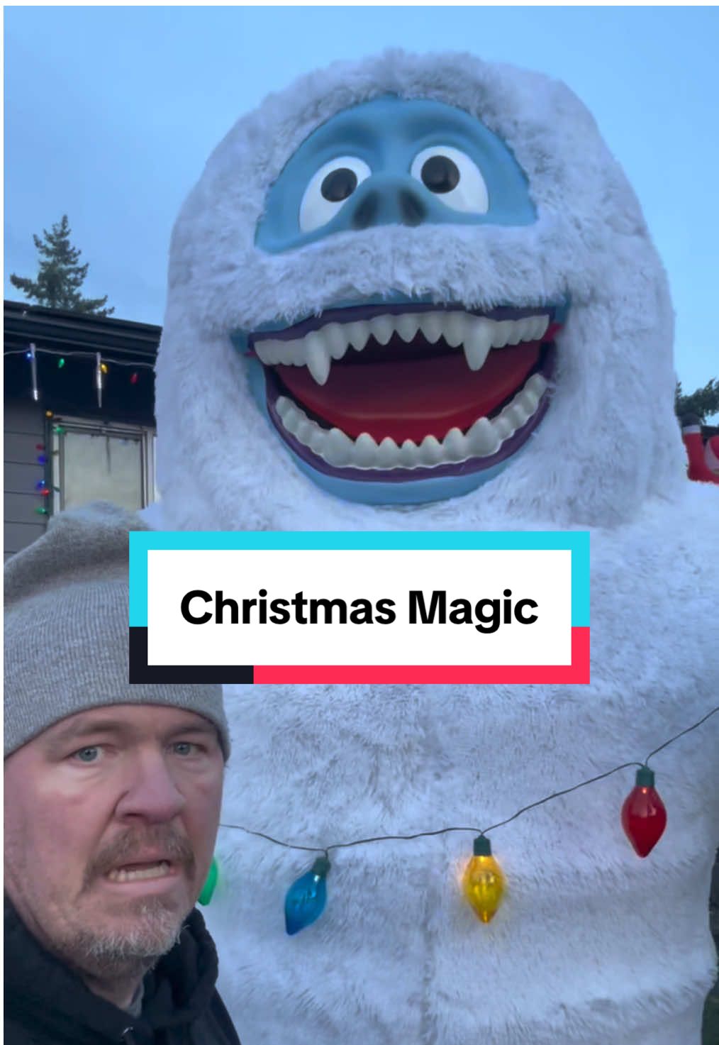 TikTok post by @mommydoesntdodishes for Canadian Tire. Caption reads: @Canadian Tire created some amazing Christmas....