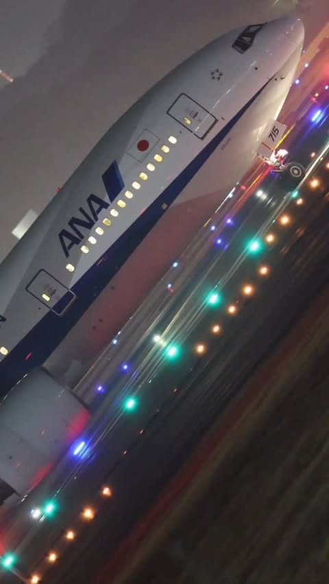 Instagram post by @gaba_yoshi for ANA. Caption reads: [...] @allnipponairways @ana.japan #flyana....