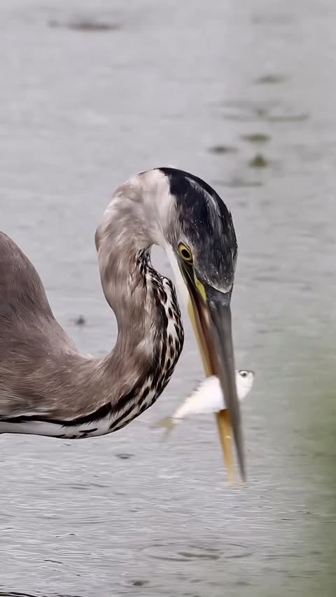 Instagram post by @samrinophotography for Canon USA. Caption reads: The grinch is at it again ruining another holiday....