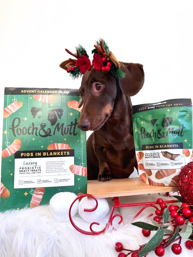 Instagram post by @frankie_dachshund03 for Pooch and Mutt. Caption reads: [...] two treats from door number 1 on my....