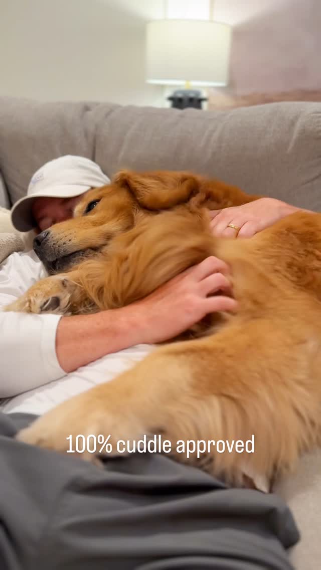 Instagram post by @cooper.thegoldenboy for FURminator. Caption reads: #sponsored Dog parents: this is your hack.

When....