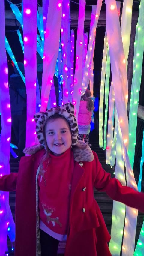 Instagram post by @jes2209 for Sony Music. Caption reads: [...] animal lantern puppets. Partnered with Sony....