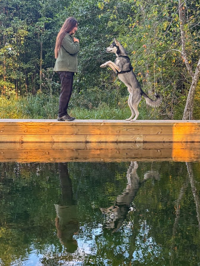 Instagram post by @siberian_snowtales for Astrid Wild. Caption reads: We’re enjoying a beautiful vacation in....