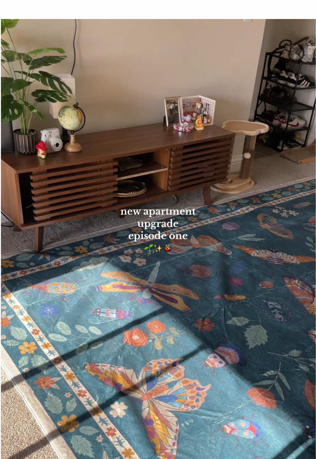 TikTok post by @rachillona for LA Home Decor. Caption reads: 🌱🐞surprise @ the end !!! this is what our....