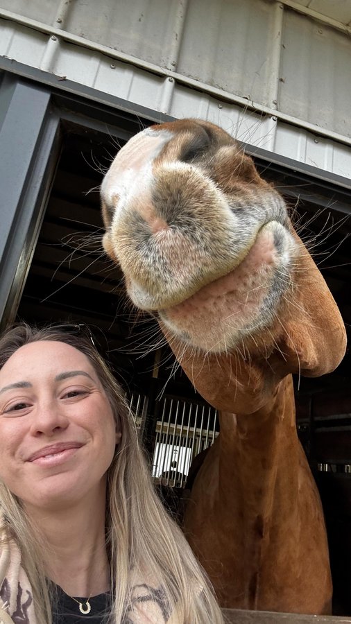 Instagram post by @oxers2oncology for MDF Instruments. Caption reads: One must girl boss to afford said horses and....