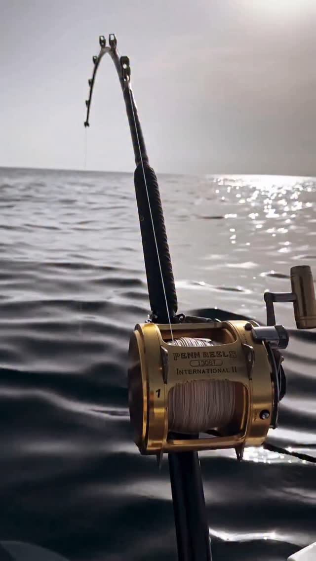 Instagram post by @ariatunafishing for Mustad Fishing. Caption reads: A screaming 130 can only mean one thing… GIANT....