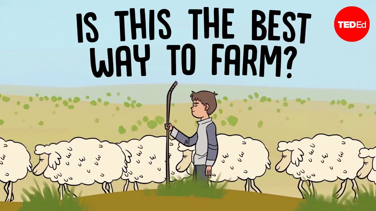 YouTube post by @TEDEd for TED. Caption reads: This is how nomadic farmers live.