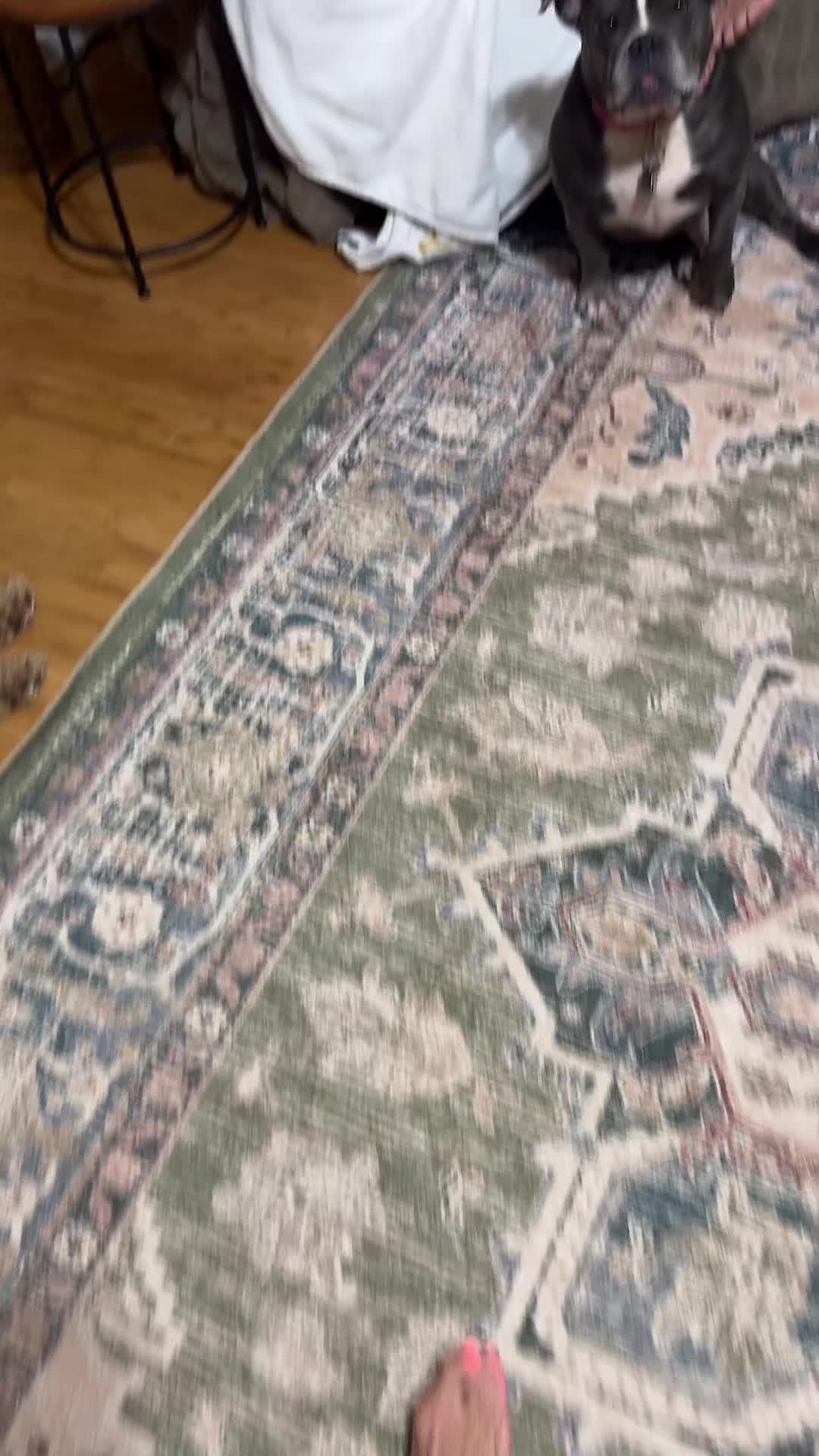 TikTok post by @chrissyroberts2.0 for BattlBox. Caption reads: @BattlBox #knife  .