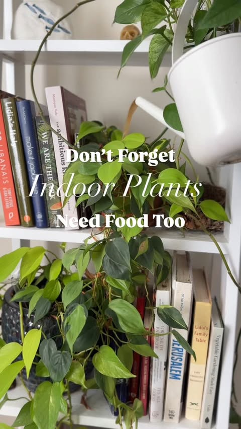 Instagram post by @hookandgarden for Miracle-Gro. Caption reads: Feeding your indoor plants..

Plant food is....
