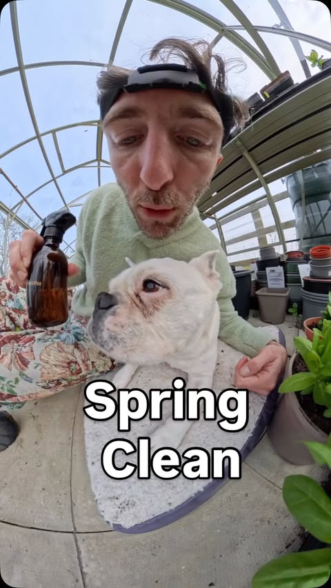 Instagram post by @robdoingrob for Purdy & Figg. Caption reads: AD| Spring cleaning the greenhouse is more of an....