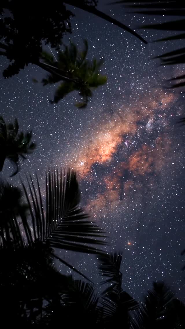 Instagram post by @leefphotos for Visit Maldives. Caption reads: Stargazing in the Maldives 😍💫
—
Under a sky full....