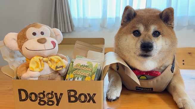 Instagram post by @mumumu_ko.2017.02.17 for Doggy Box. Caption reads: 。

⑧月のdoggy....