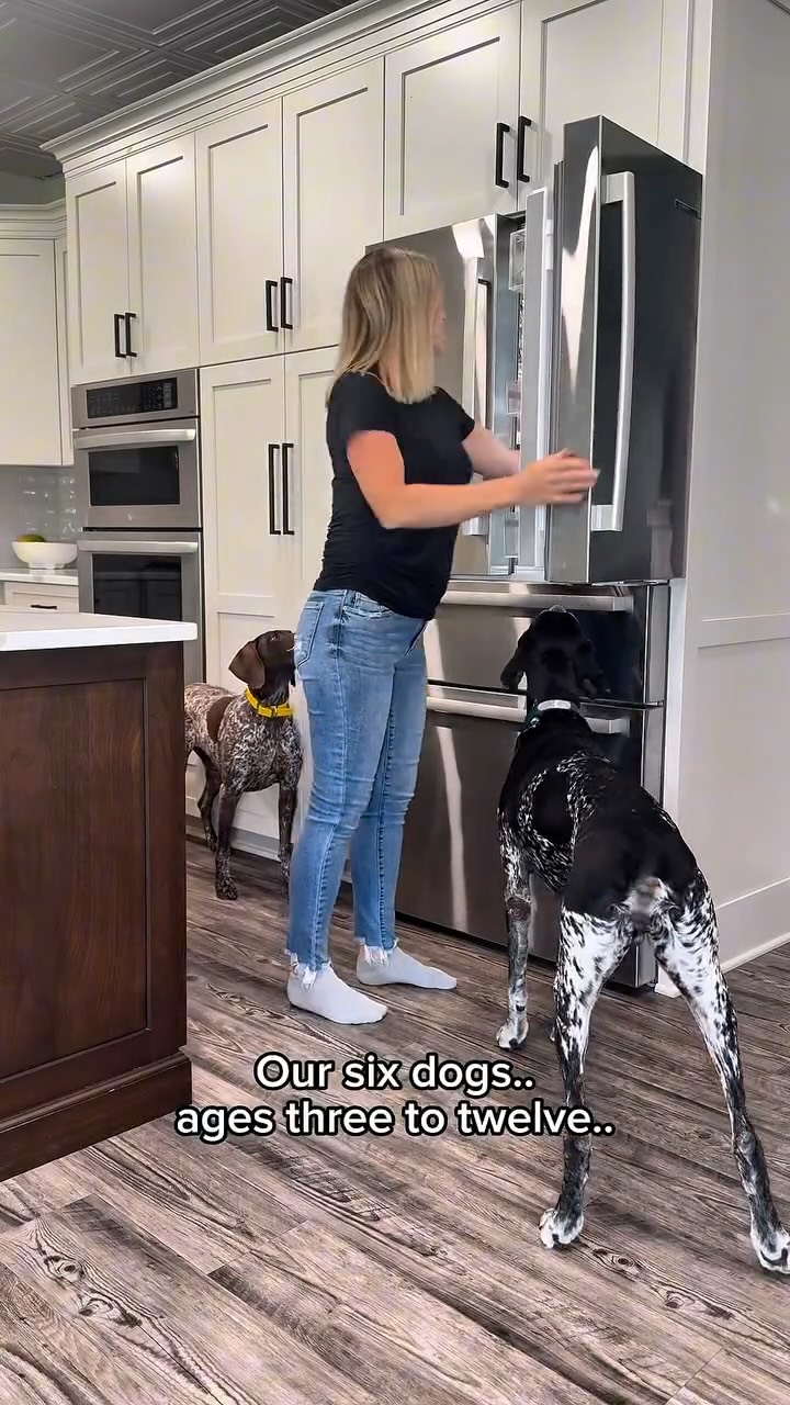 Instagram post by @cherileigh_ for Freshpet. Caption reads: [...] being the best moment of their day!....