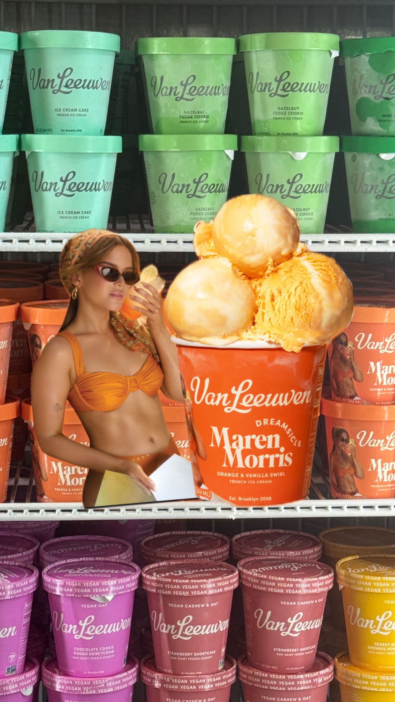 Instagram post by @nashvillesocialchair for Van Leeuwen Ice Cream. Caption reads: Van Leeuwen just dropped a limited-edition....