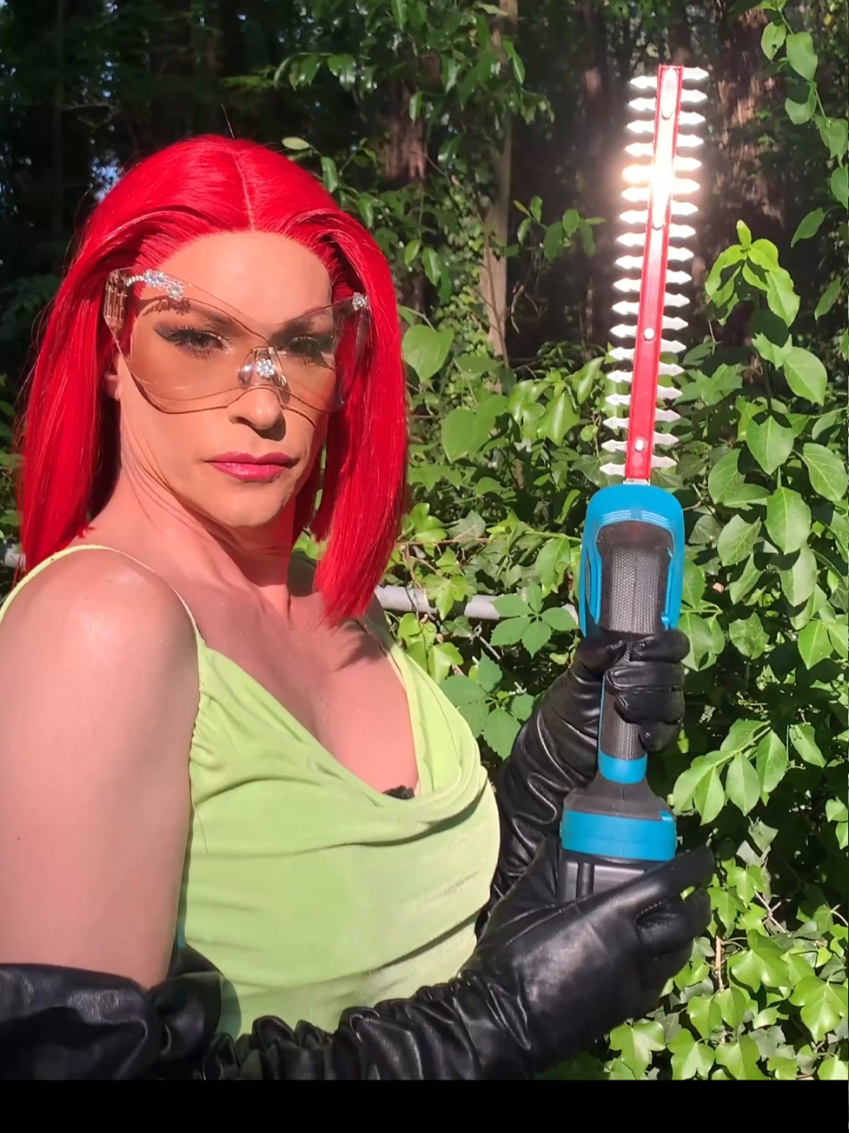TikTok post by @thenicolepbrooks for SeeSii. Caption reads: I love my new @SEESII Tools chainsaw! New GARDEN....