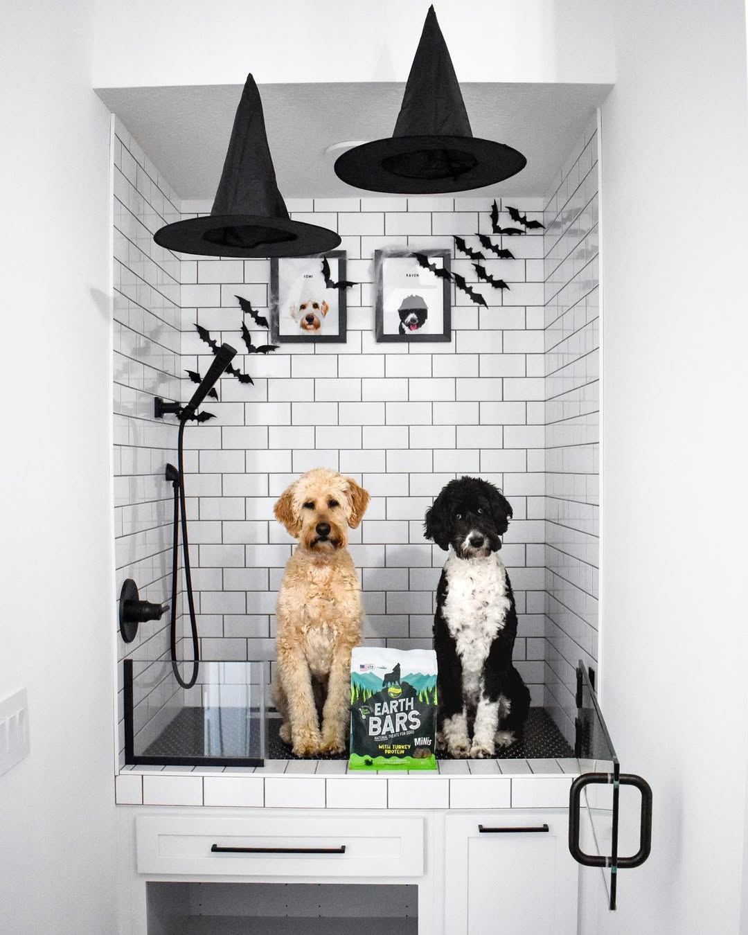 Instagram post by @littlehouseonalittleland for Earthborn Holistic Pet Food. Caption reads: #sponsored With Halloween right around the corner,....