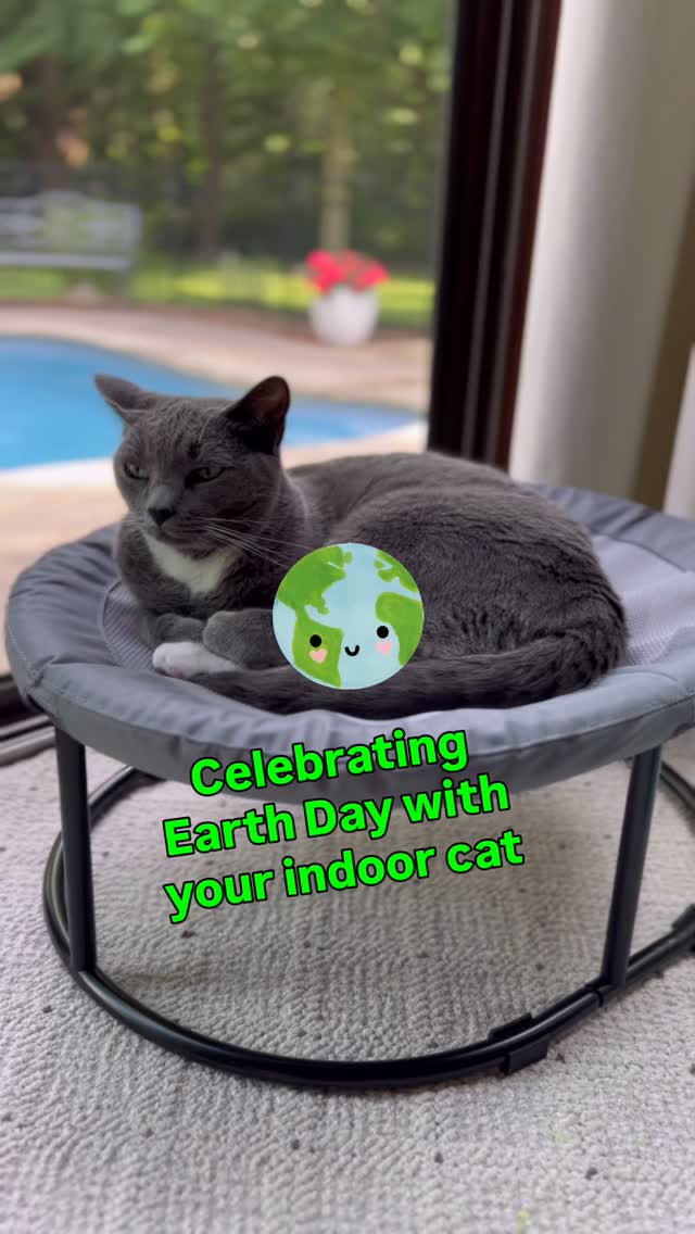 Instagram post by @purrfectinfluencer for I and love and you. Caption reads: [...] Earth 🌎 Day with your kitty and....