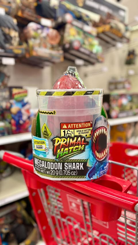Instagram post by @targetovereverything for Spin Master. Caption reads: [...] will bring endless hours of fun. This....