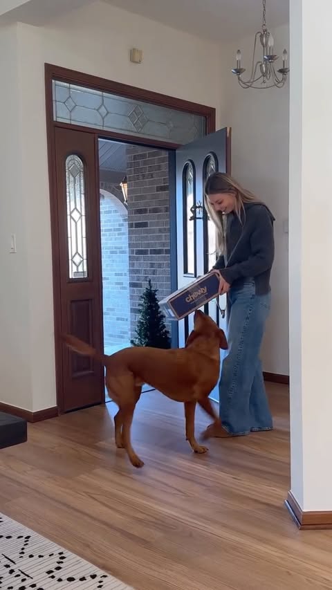 Instagram post by @redlabricky for Chewy. Caption reads: Join in on the holiday magic and submit your....