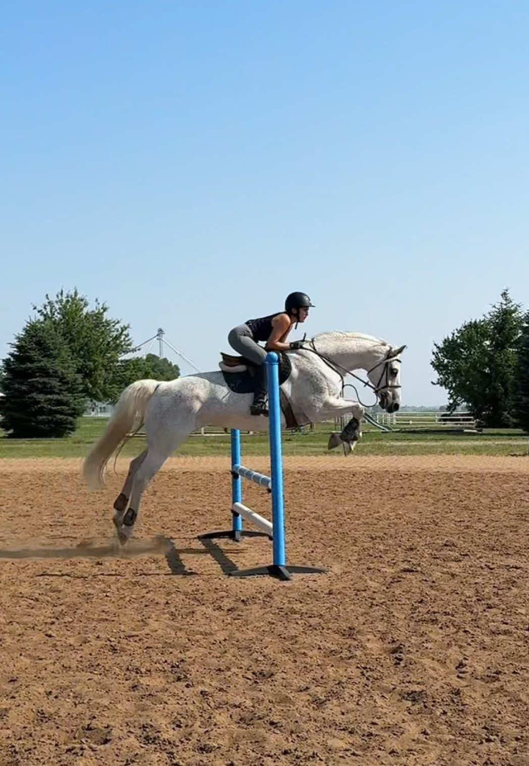 TikTok post by @bellagreen.19 for Cliganic. Caption reads: [...] #healthyalternatives #nontoxicliving....