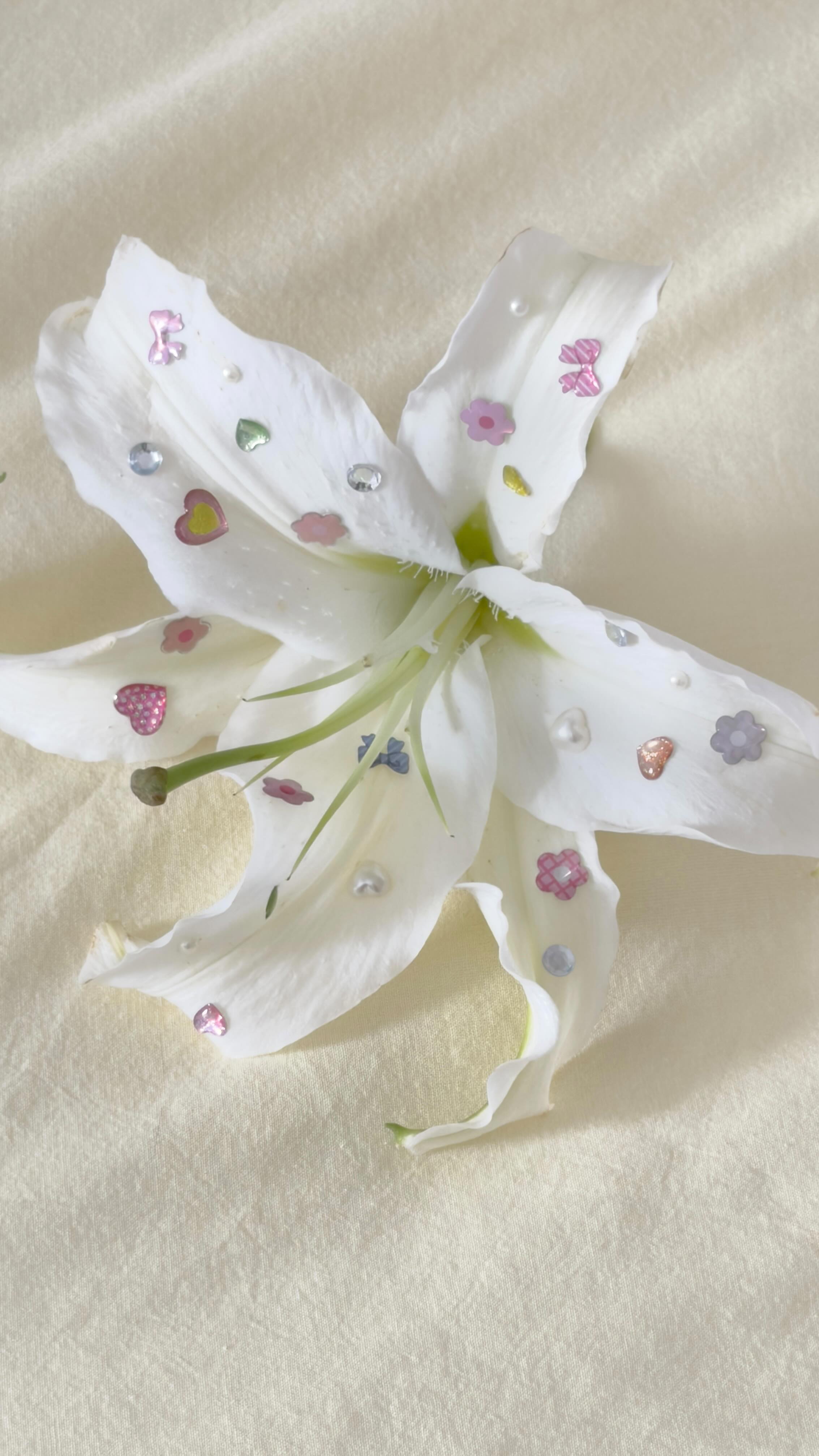 Instagram post by @fayebalogo for Divoom. Caption reads: meet my new desk buddy! 🎀

times frame from....