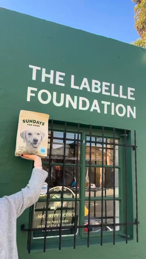 Instagram post by @thelabellefoundation for Sundays for Dogs. Caption reads: When the delivery truck pulls up with bags of....