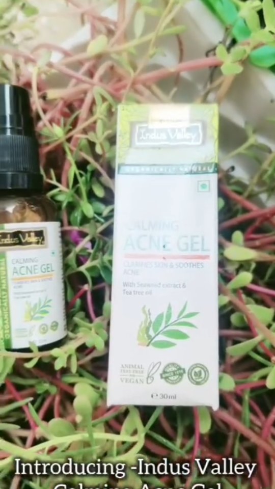 Instagram post by @leena_tuteja for Indus Valley Organic Beauty. Caption reads: Facing acne vulgaris, whiteheads and pimples 
Just....