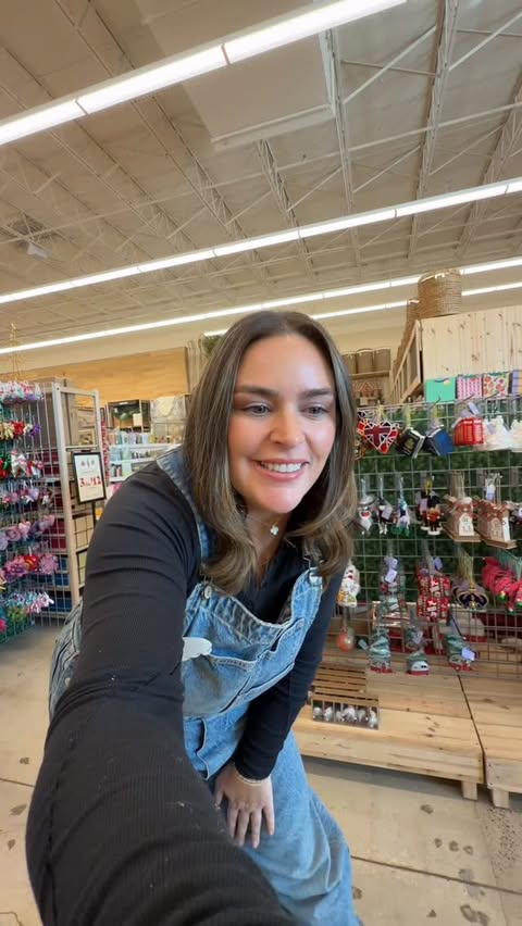 Instagram post by @brivenzke for World Market. Caption reads: HOW GOOD ARE THESE CHRISTMAS FINDS? @worldmarket....