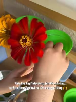 TikTok post by @mama_mini_magic for Vevor Outdoor Store US. Caption reads: I was wondering if my son would actually get....