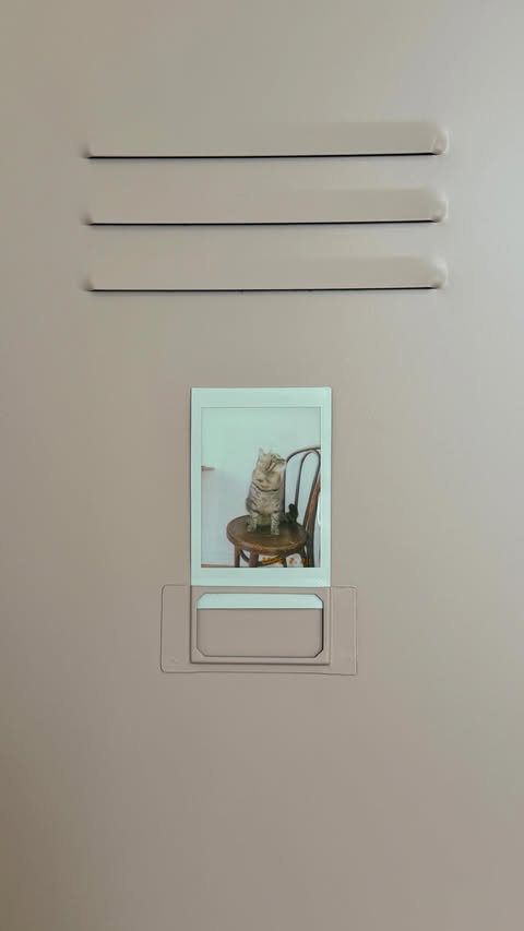 Instagram post by @bellymayme for Smalls. Caption reads: my nyc morning routine with @smallsforcats 🌟🐈💞....