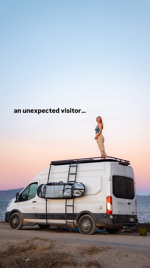 Instagram post by @quingable for Southwest Airlines. Caption reads: A very unexpected guest came to the van with some....