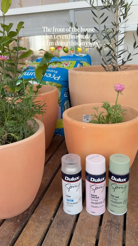 Instagram post by @emma__higgins for Dulux. Caption reads: [...] these pots turned out!! 💗🌿 I used the....