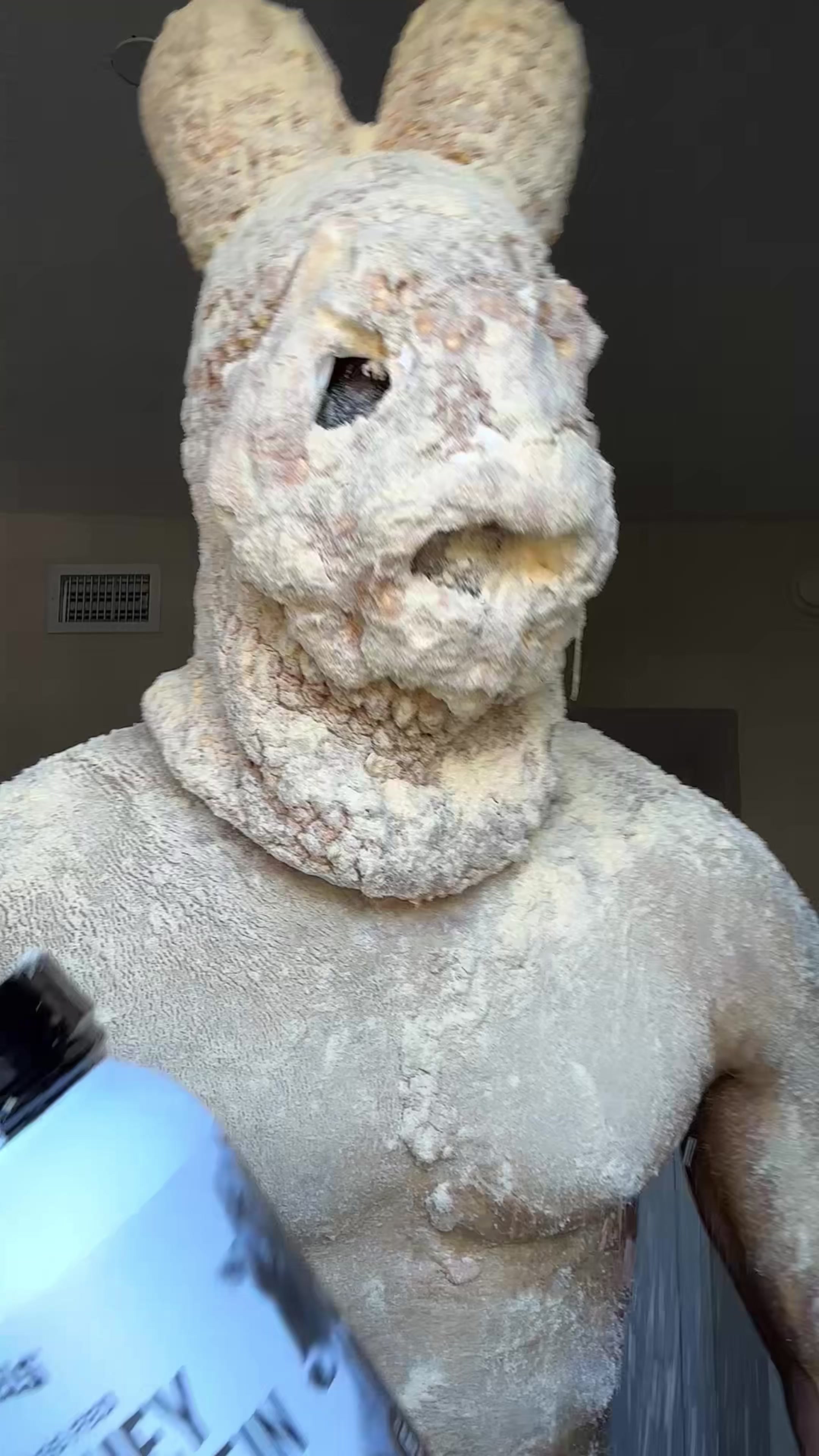 TikTok post by @official.mrhungry for Levels Protein. Caption reads: #mrhungry #itstimetoeat #levelsprotein @Levels....