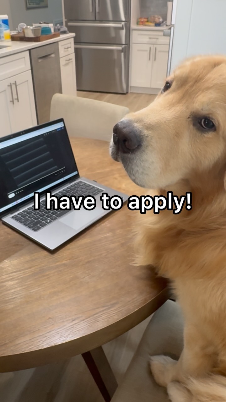 Instagram post by @agoldennamedkevin for Hertz. Caption reads: My formal application for the @Hertz Gold Squad.....