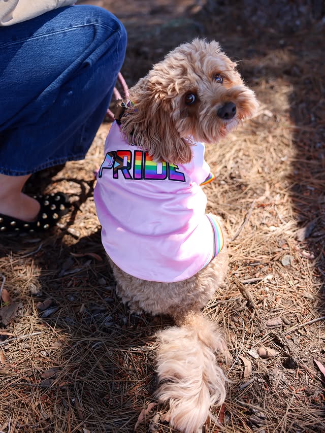 Instagram post by @trevorproject for Petco. Caption reads: [...] us stronger. From now through 7/1/26, Petco....
