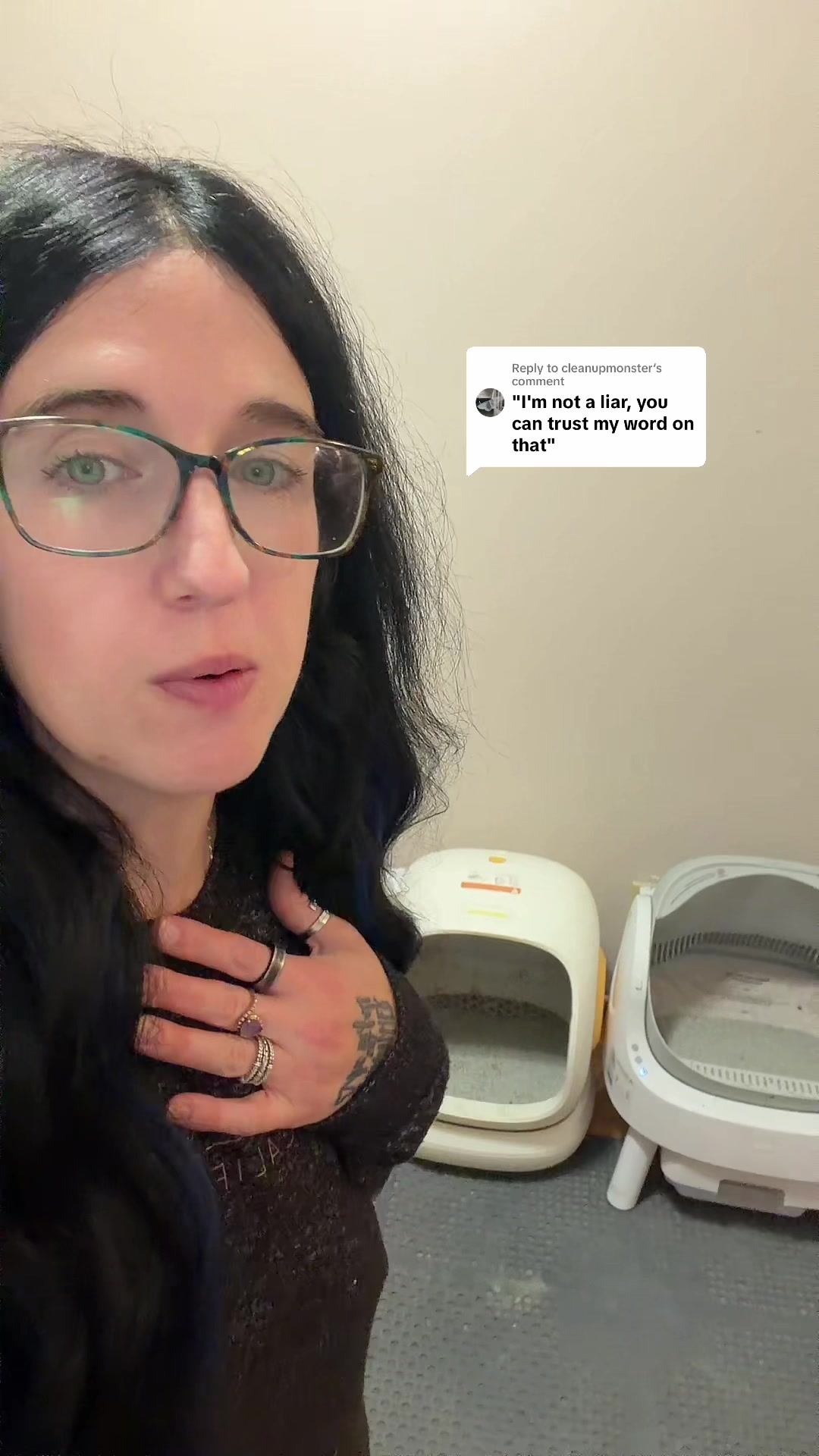 TikTok post by an influencer for Fumoir. Caption reads: Replying to @cleanupmonster I am known for honest....