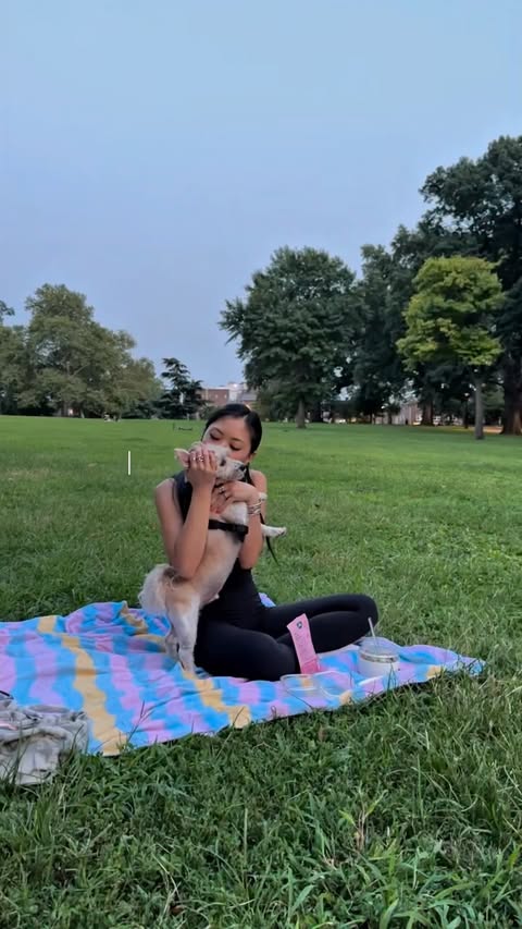 Instagram post by @ashleym_lin for Jinx. Caption reads: dinner for two 🐶🌳 @thinkjinx available at....