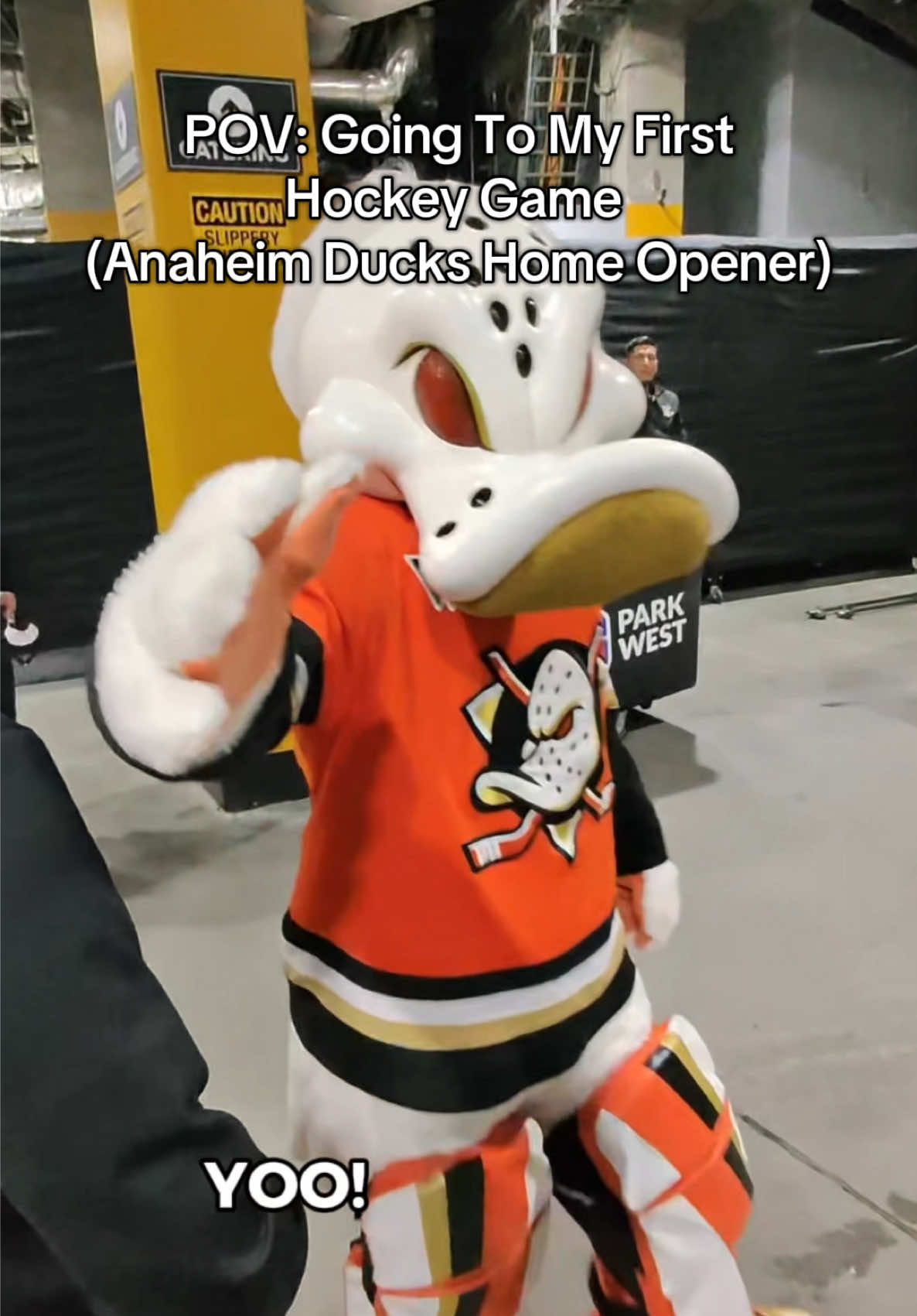 TikTok post by @mysolopov for Visit Anaheim. Caption reads: One of the best experiences ever! Thanks to @Visit....