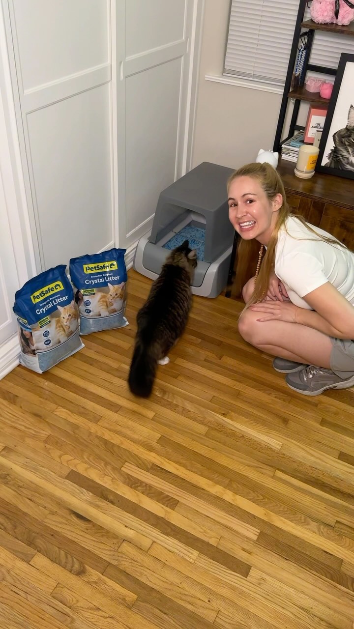 Instagram post by @kenbunny for Petsafe. Caption reads: This #AmazonPrimeDay shop @PetSafe 📦 Get ready....