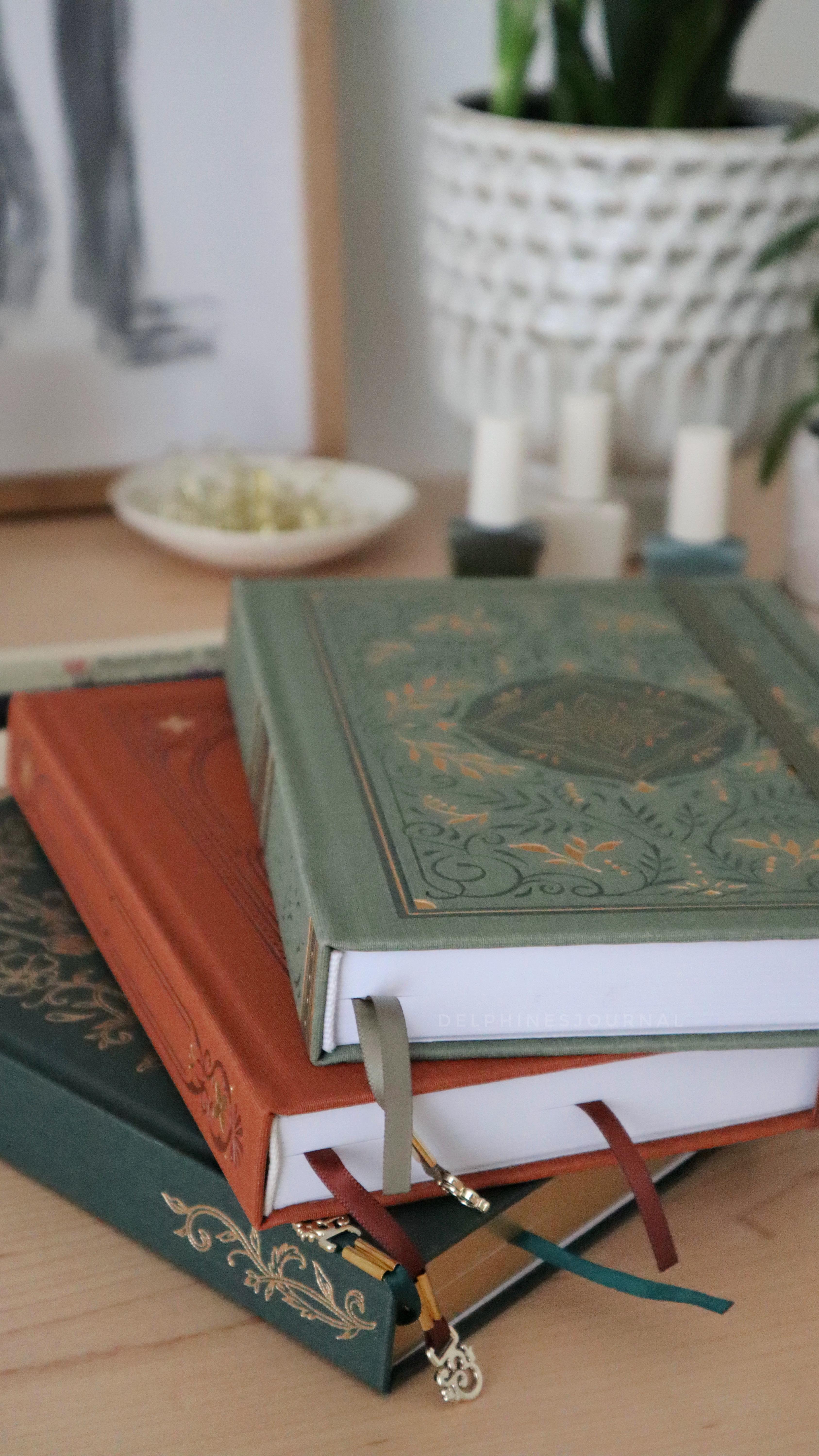 Instagram post by @delphinesjournal for Archer and Olive. Caption reads: Which notebook should I choose for 2026? I have a....