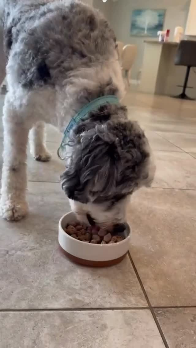 Instagram post by @kubikslife for Malacasa. Caption reads: ✨ Upgrade your space with this must-have....