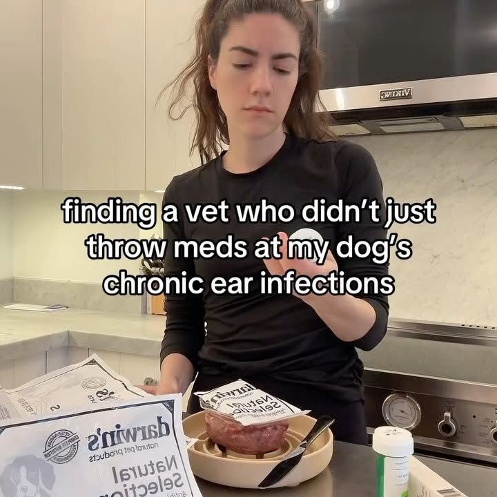 Instagram post by @myboyrudder for Darwin's Natural Pet Products. Caption reads: the first vets we saw only reco’d meds and....