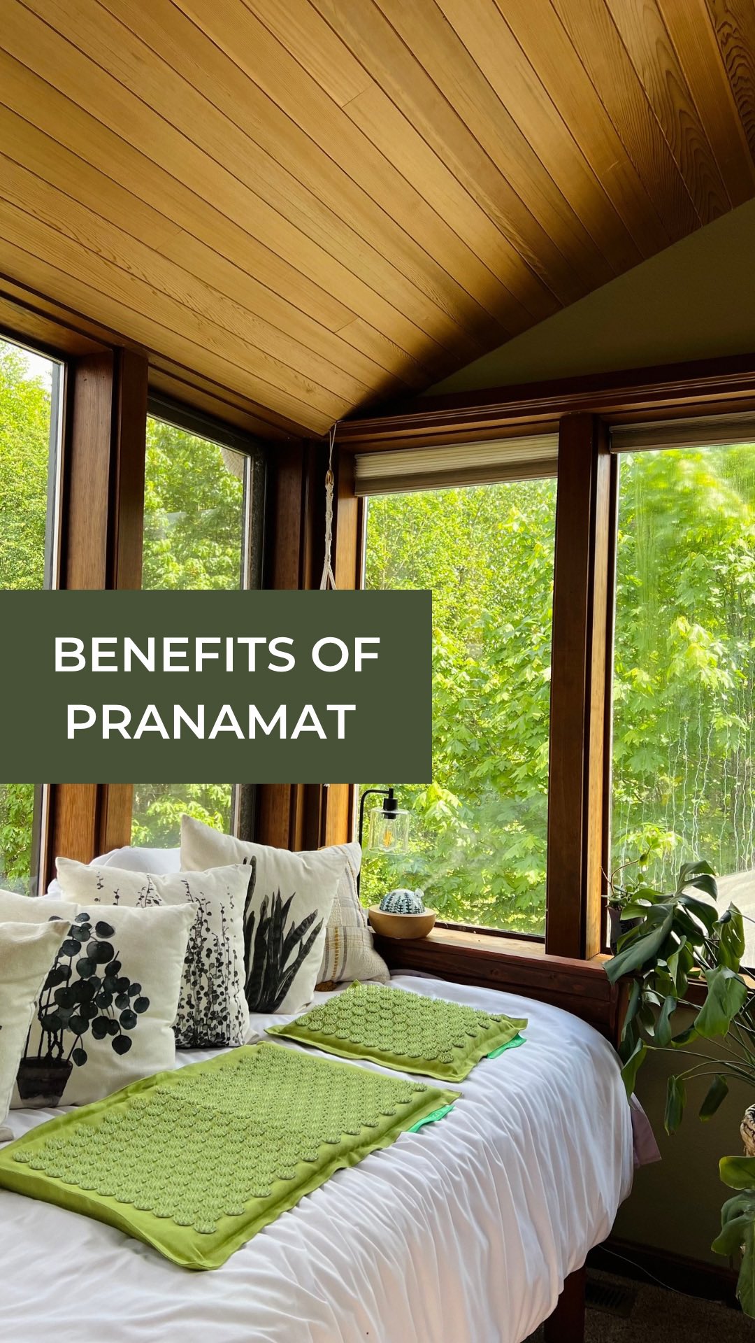 Instagram post by @scienceofessentials for Pranamat. Caption reads: Wait….you don’t have a Pranamat? 🌿

I’ve been....