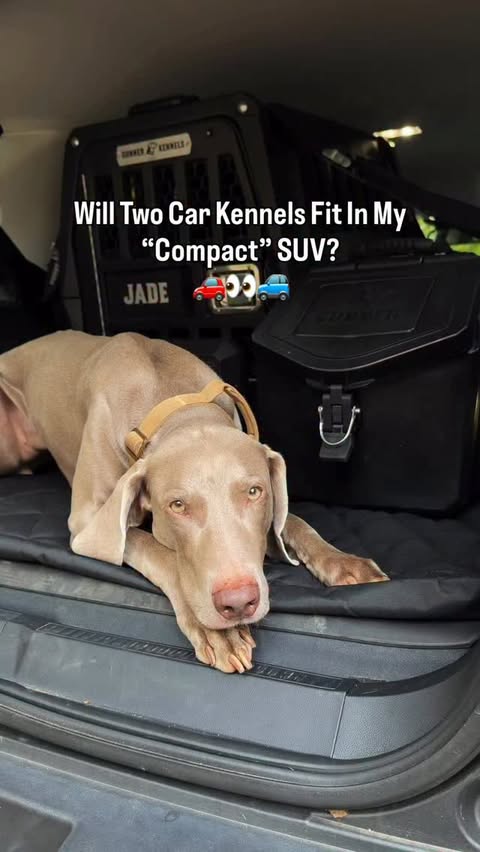 Instagram post by @weim_crime.sisters for Ford Bronco. Caption reads: I absolutely LOVE this colour combo though 👀😈....