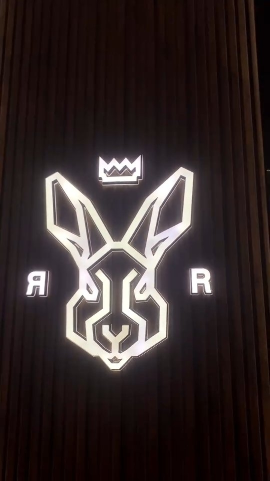 Instagram post by @pd_yadav_sinhpur for RARE RABBIT. Caption reads: R💜R For Rare Rabbit 🐰#trendingreels....