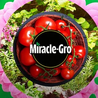 Miracle-Gro