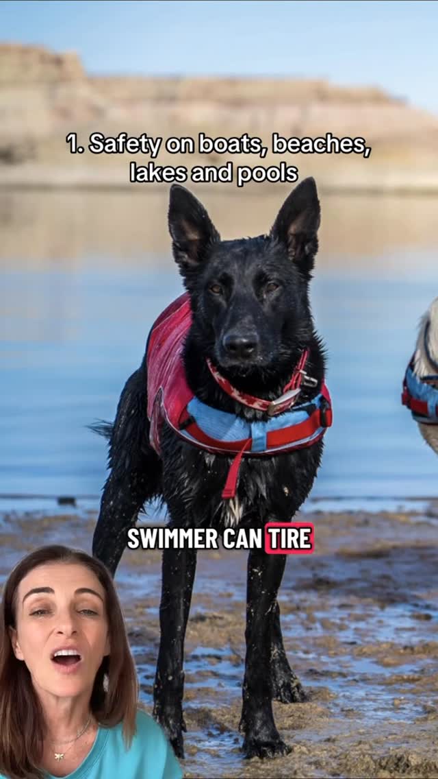 Instagram post by @drkatrina for Kurgo. Caption reads: [...] mine. The Surf and Turf Life Jacket by....