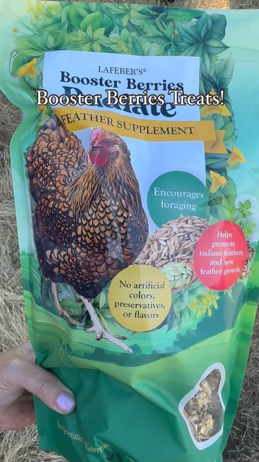 Instagram post by @cats_and_cluckers for Lafeber Pet Birds. Caption reads: The girls are loving the Booster Berries Radiate....