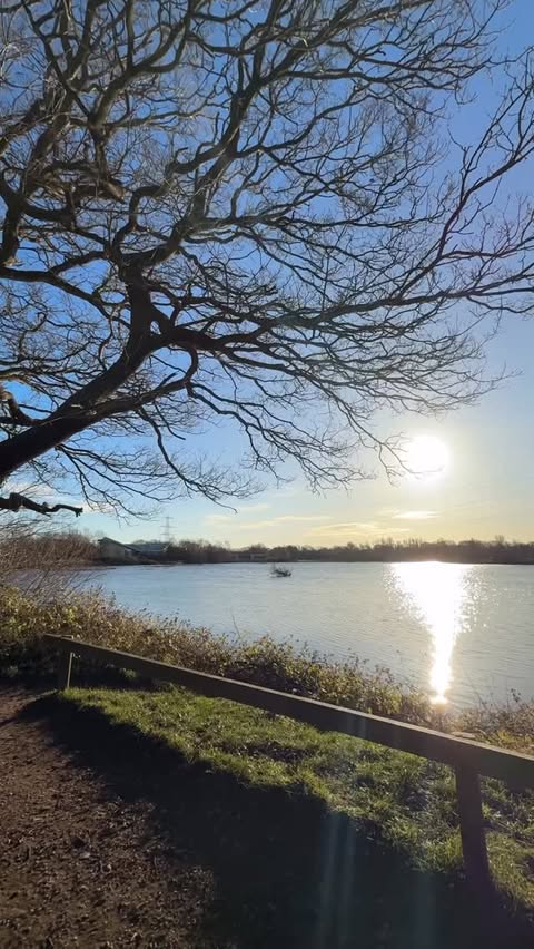 Instagram post by @squeakygemlife for Rheal Superfoods. Caption reads: [...] my cup 🥰 Ad | Who has seen the new....